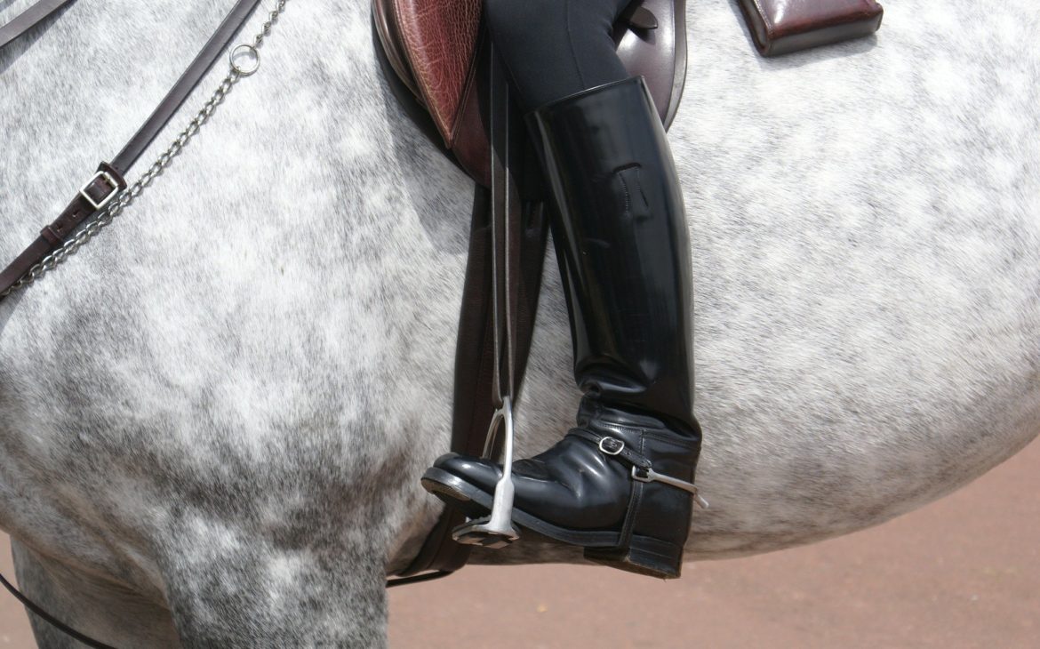 reiterstiefel_reitstiefel_reitstiefeletten_reitguru